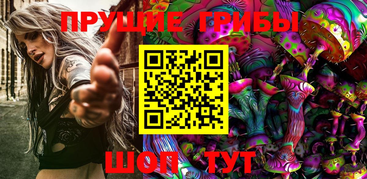 Псилоцибиновые грибы Psilocybe Тверь