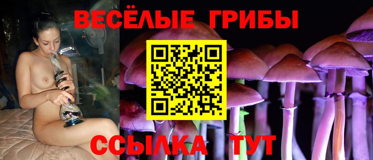 Тверь  Псилоцибиновые грибы Magic Shrooms  Вход с VPN 